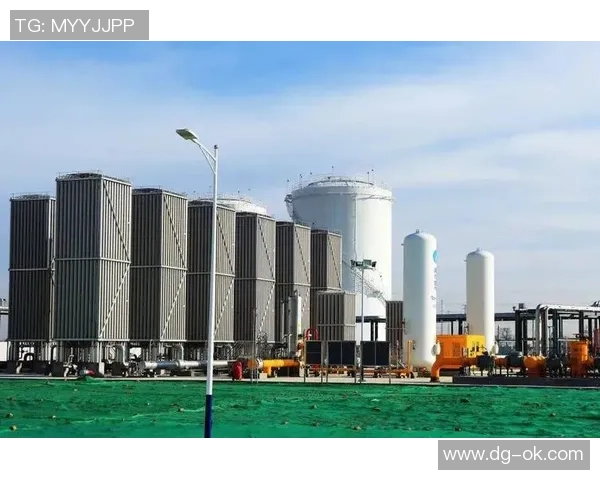 专业分析LNG市场包夹策略的深度解读与未来展望 专业分析LNG市场包夹策略的深度解读与未来展望