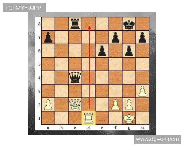 广州排球队节奏打法深度解析与战术优势剖析