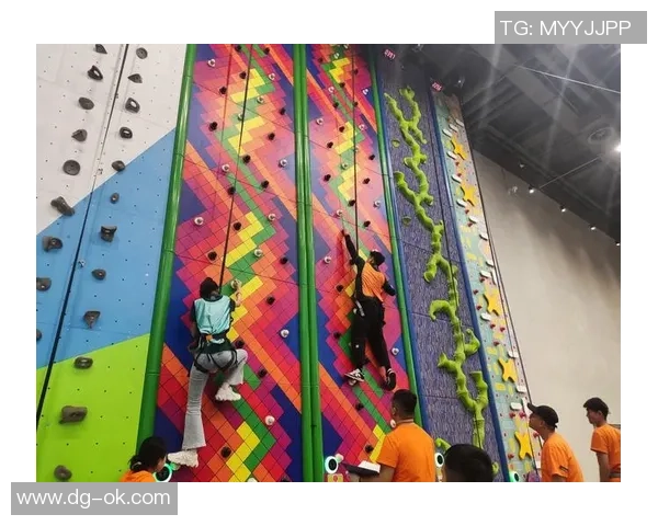 成都极限运动队团队协作的创新变革与热议现象探讨